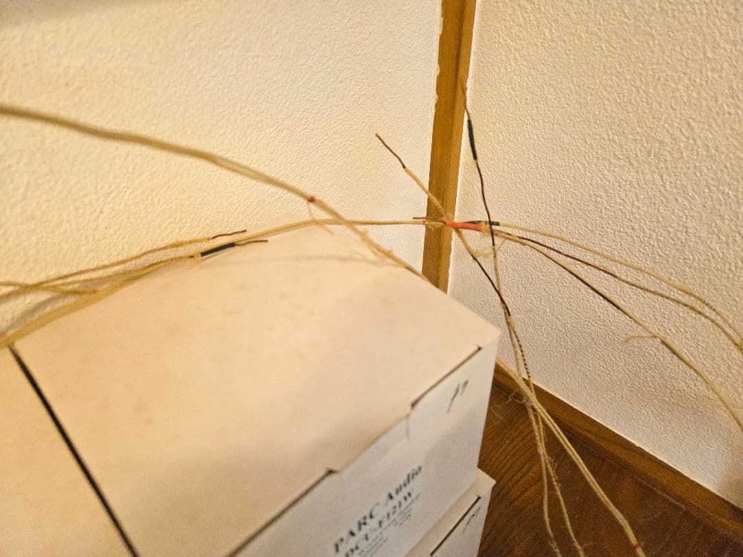 WesternElectric16GA単線ブラックエナメル SPケーブル+おまけ