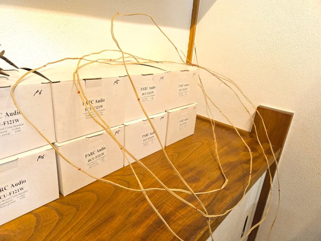 WesternElectric16GA単線ブラックエナメル SPケーブル+おまけ