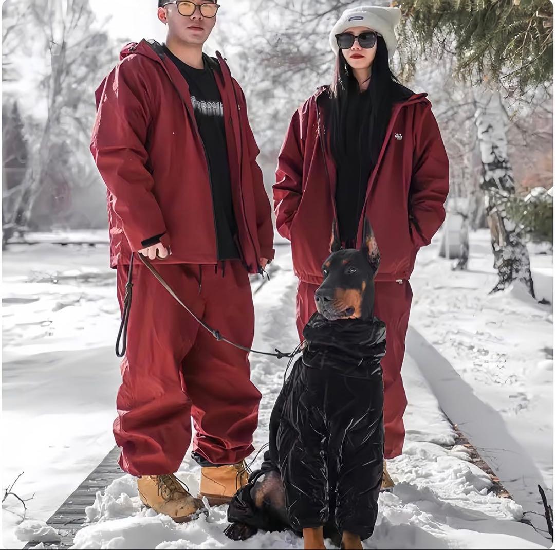 試着のみ 上下2点セット S スノーボードウェア スキーウェア COSPLEE