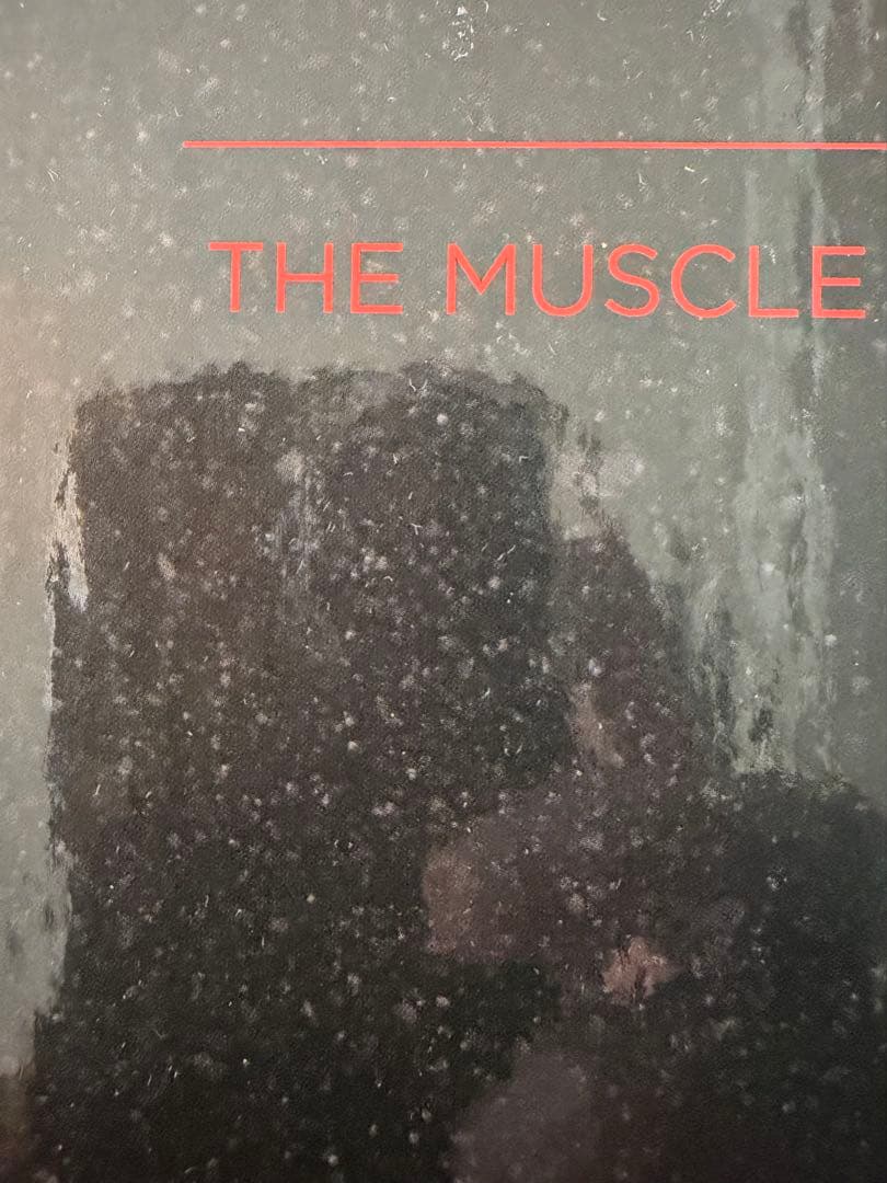 肉体改造のピラミッド 栄養編・トレーニング編