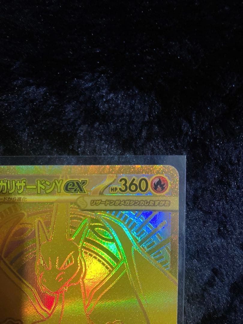 リ*ー様 ポケモンカード　メガリザードンy ex MUR