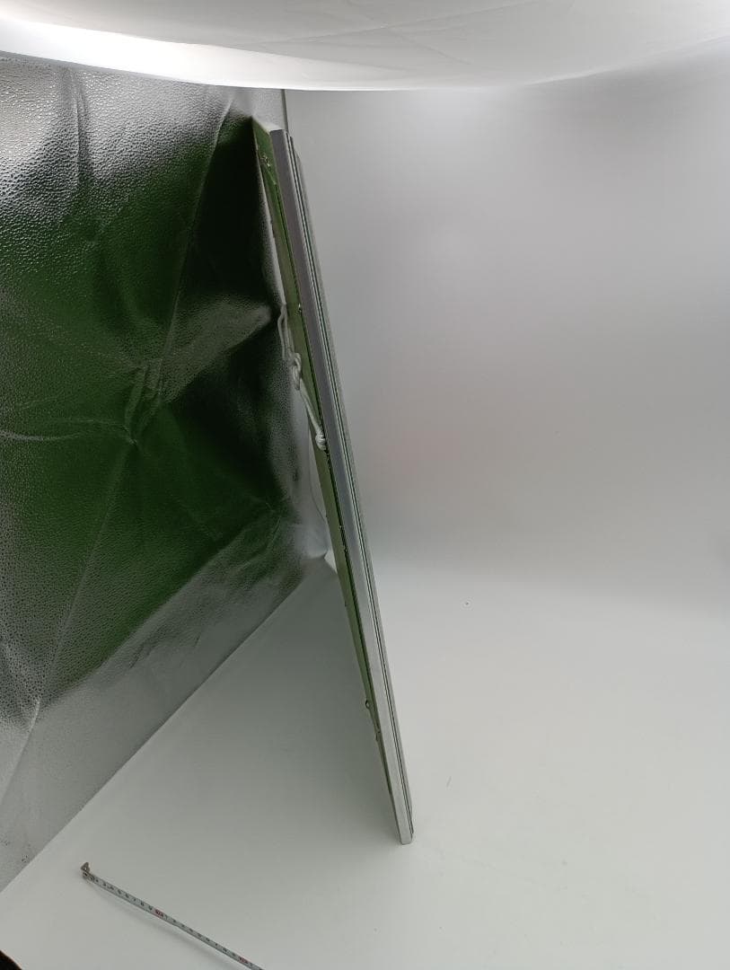 限定　美女と野獣　Disney　マジックオブラブ　シルクスクリーン　ディズニー