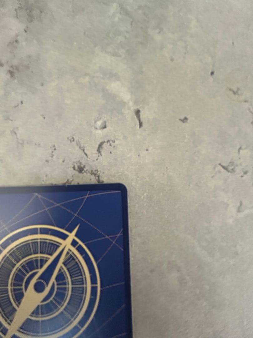 モンキー・D・ルフィ SP(スペシャルカード) 手配書