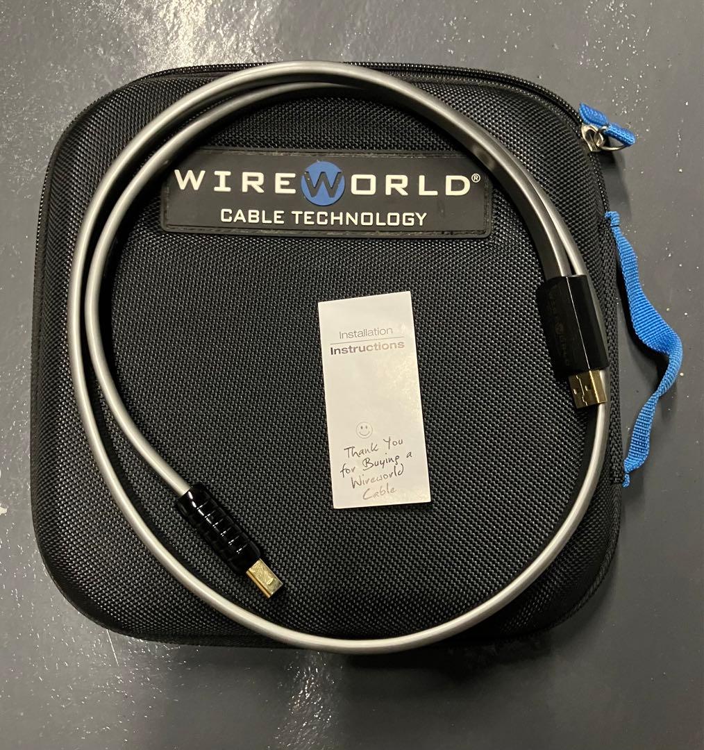 WIREWORLD SILVER STARLIGHT USBケーブル 1m