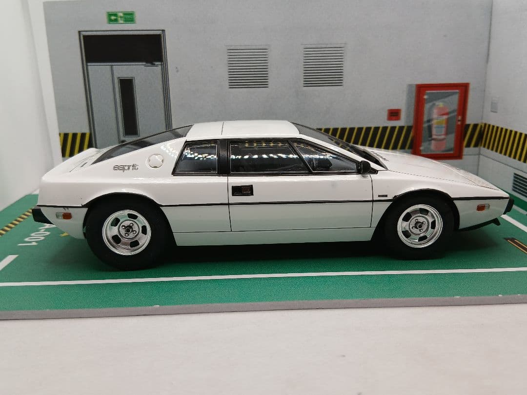 【専用品】TRYHORN 様　ロータスエスプリ