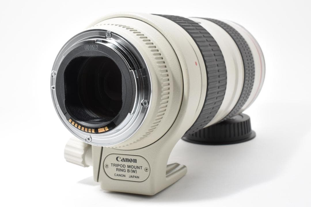 Canon EF 70-200mm F2.8 L USM 望遠ズームレンズ