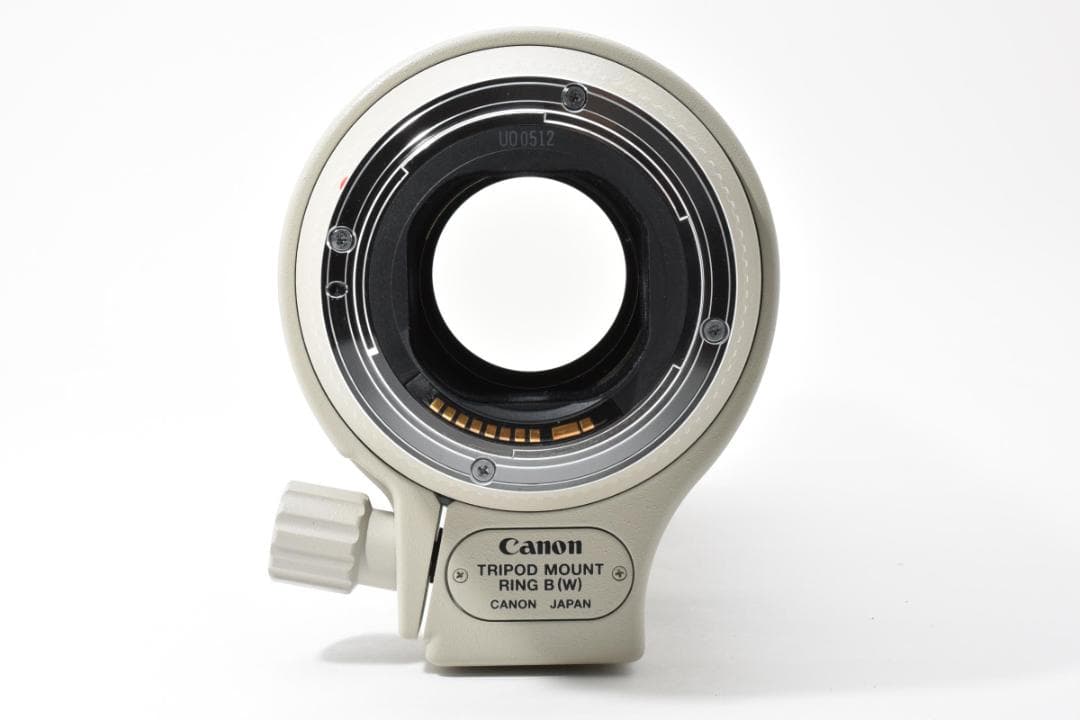 Canon EF 70-200mm F2.8 L USM 望遠ズームレンズ