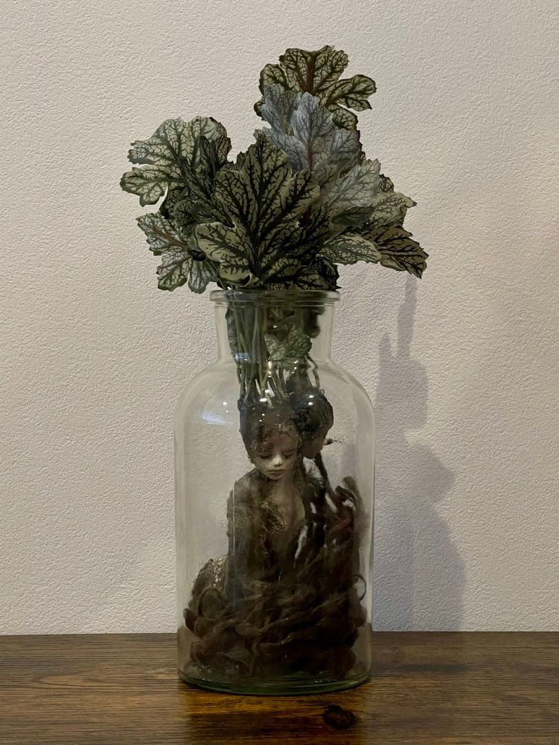 創作人形・ウーマンドレイクの標本「同じ土の記憶（Shared Soil）」