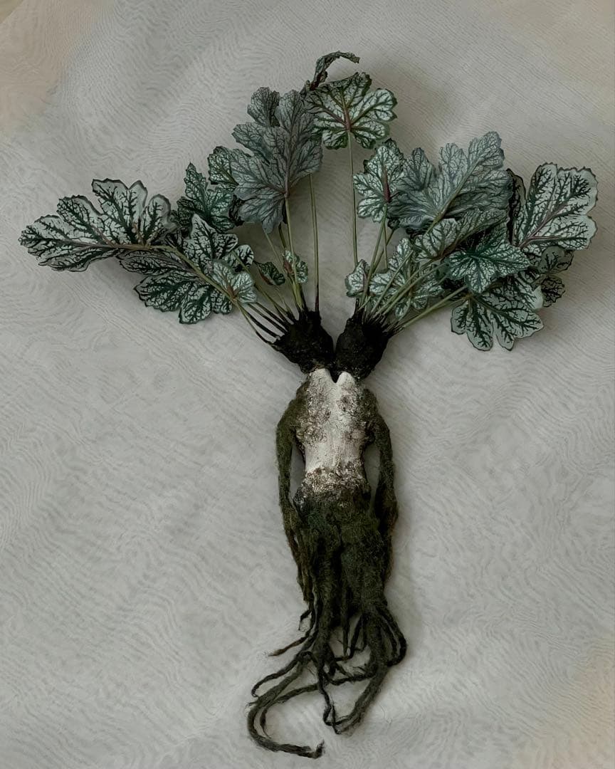 創作人形・ウーマンドレイクの標本「同じ土の記憶（Shared Soil）」