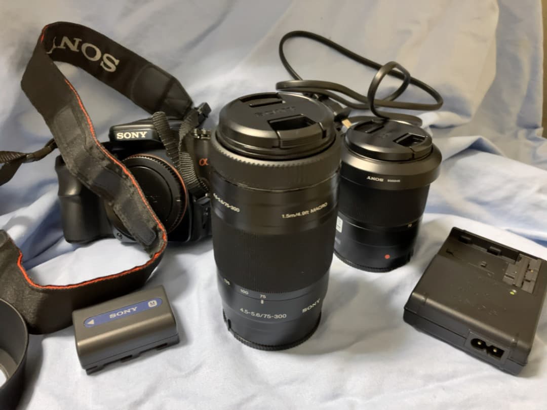 ソニーアルファ　Wレンズセット