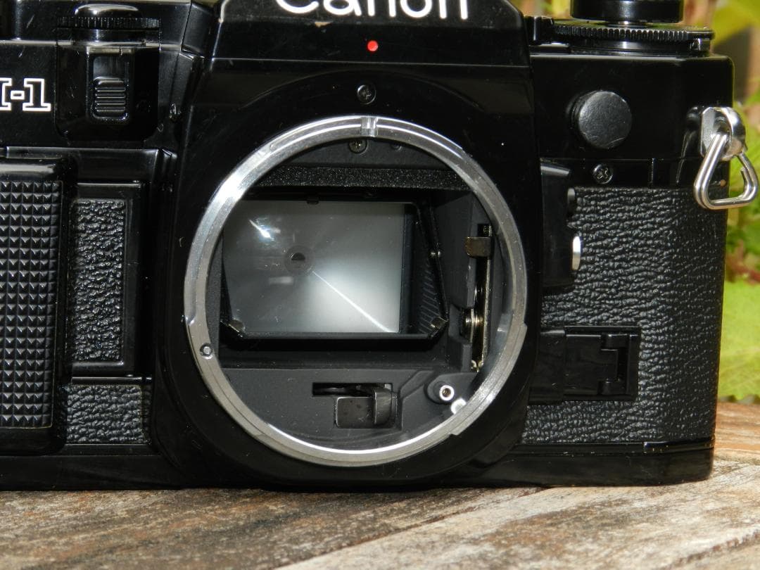 フィルムカメラ aliceCANON A-1 FD 50mm F/1.4 S.S.C