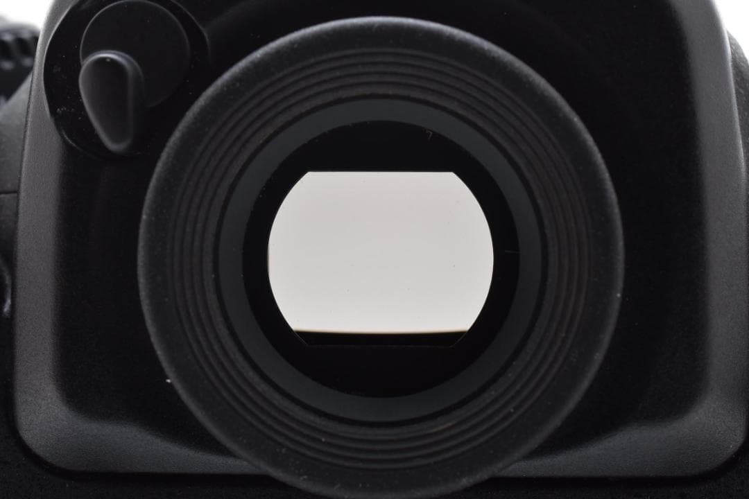 ■美品■ ニコン Nikon D500 ショット数 16163回 #A088