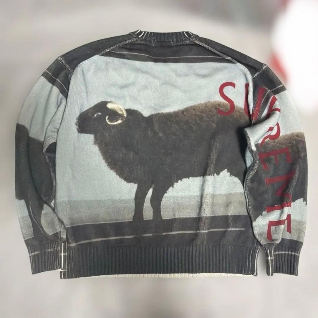 トップス supreme damien hirst sweater