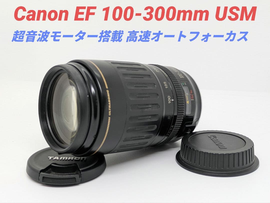 1月7日限定価格♪Canon EF 100-300mm USM