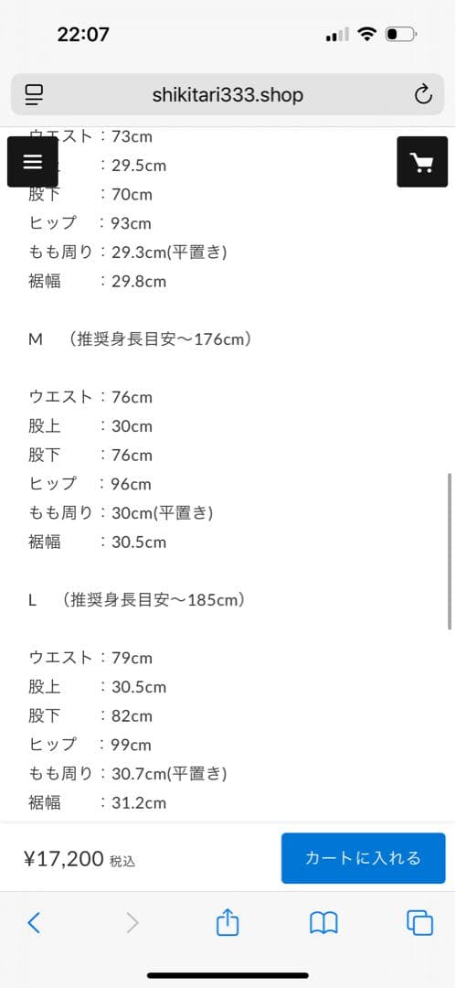 SHIKITARI STRIPE FLARE SLACKS【GRAY】