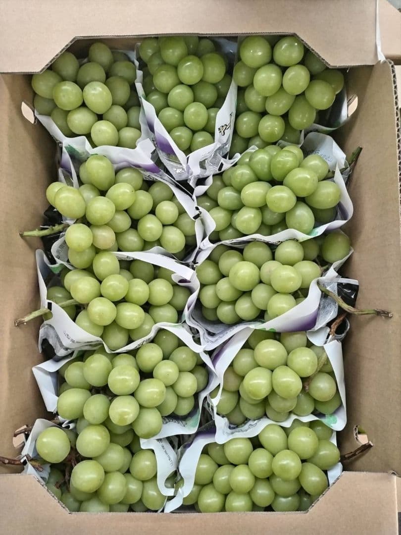 シャインマスカット　5キロ　11入　山梨県産