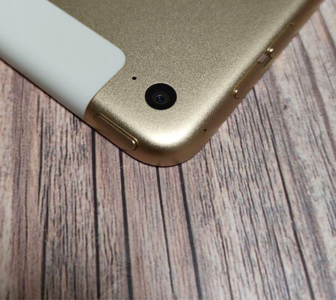 iPad Air2 第2世代 128GB セルラーモデル 他アクセサリー