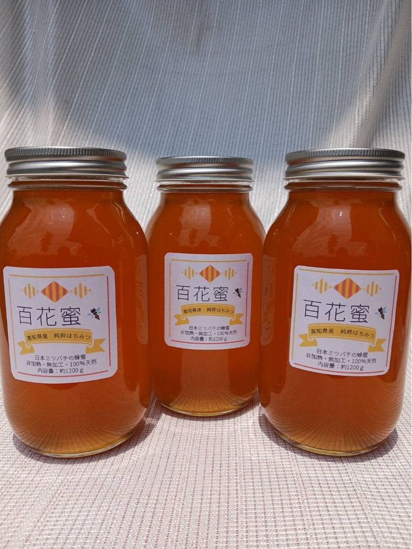 高知県産⭐︎蜂蜜⭐︎濃厚⭐︎日本ミツバチ⭐︎1200g３本セット⭐︎はちみつ