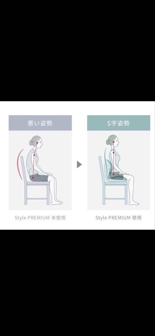 Style premium スタイルプレミアム　ブラック美品 人間工学チェア