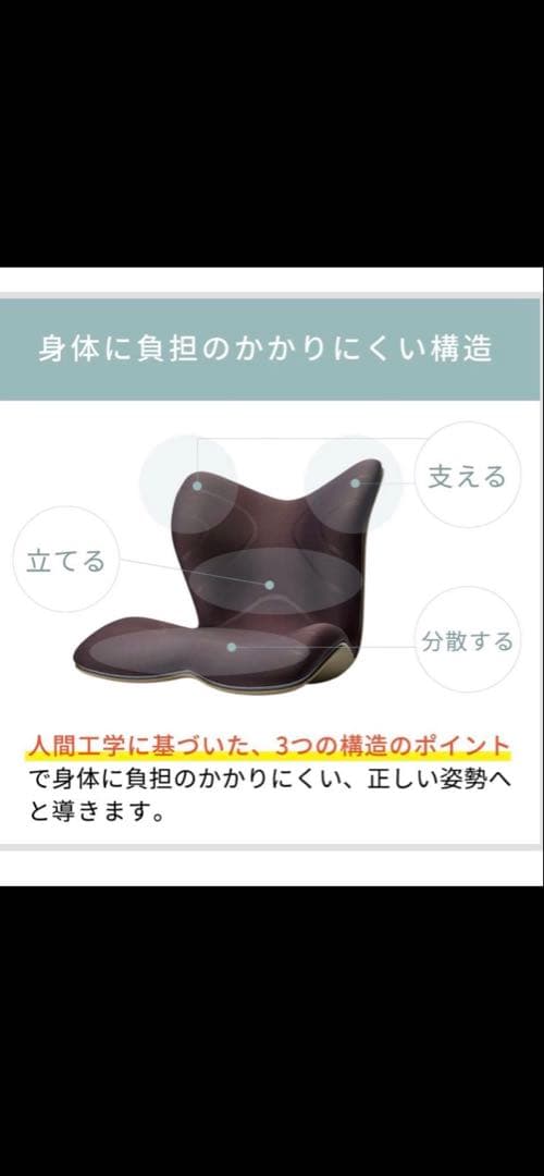 Style premium スタイルプレミアム　ブラック美品 人間工学チェア