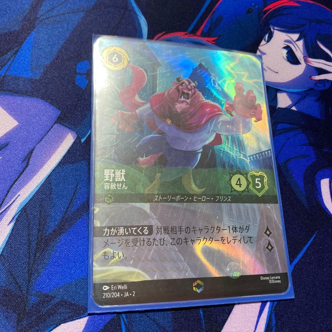 ロルカナ　エンチャンテッド10枚セット