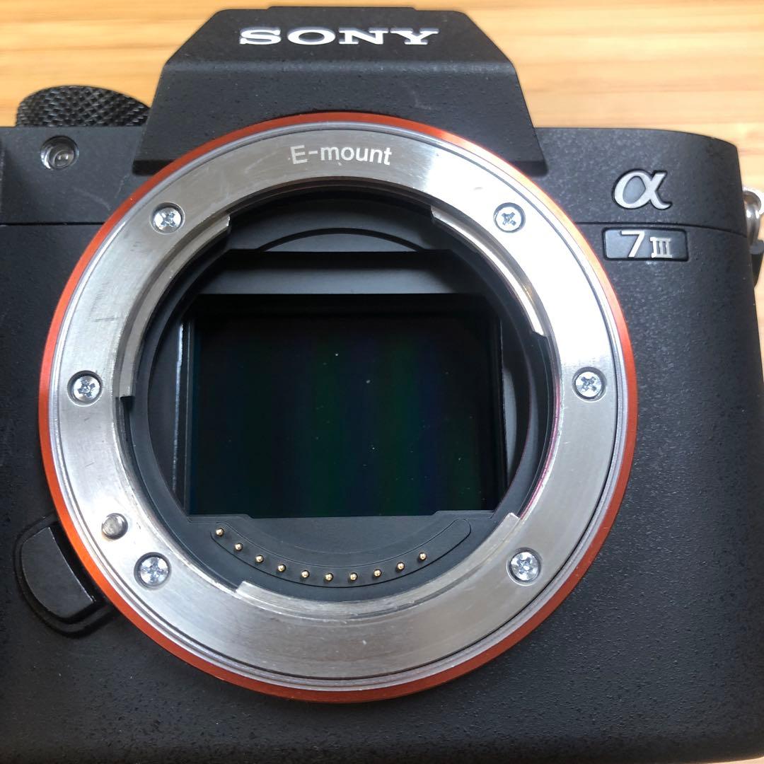 美品Sony α7 III ミラーレスカメラILCE-7M3シャッター1574回