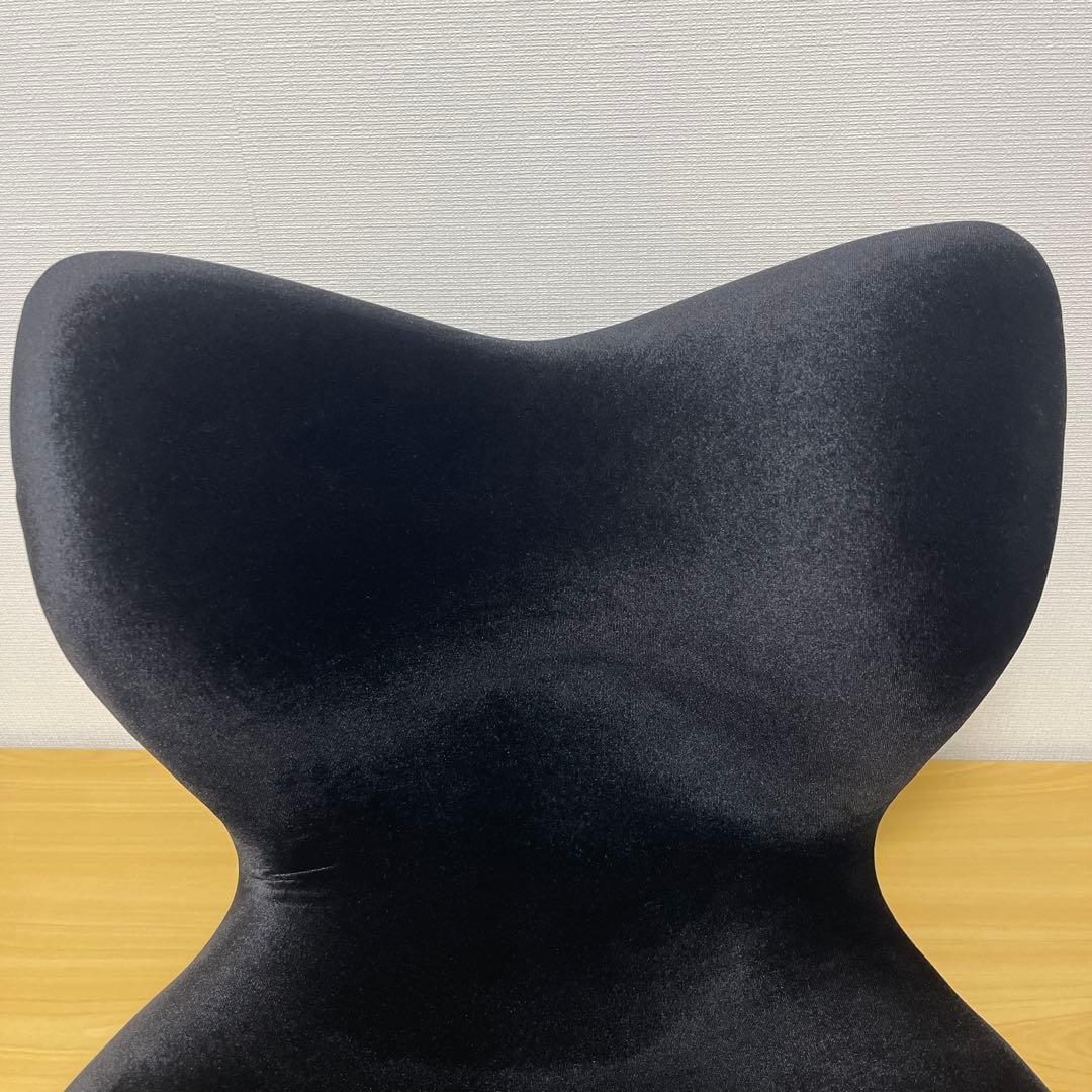 【美品】 Style PREMIUM DX スタイルプレミアムデラックス