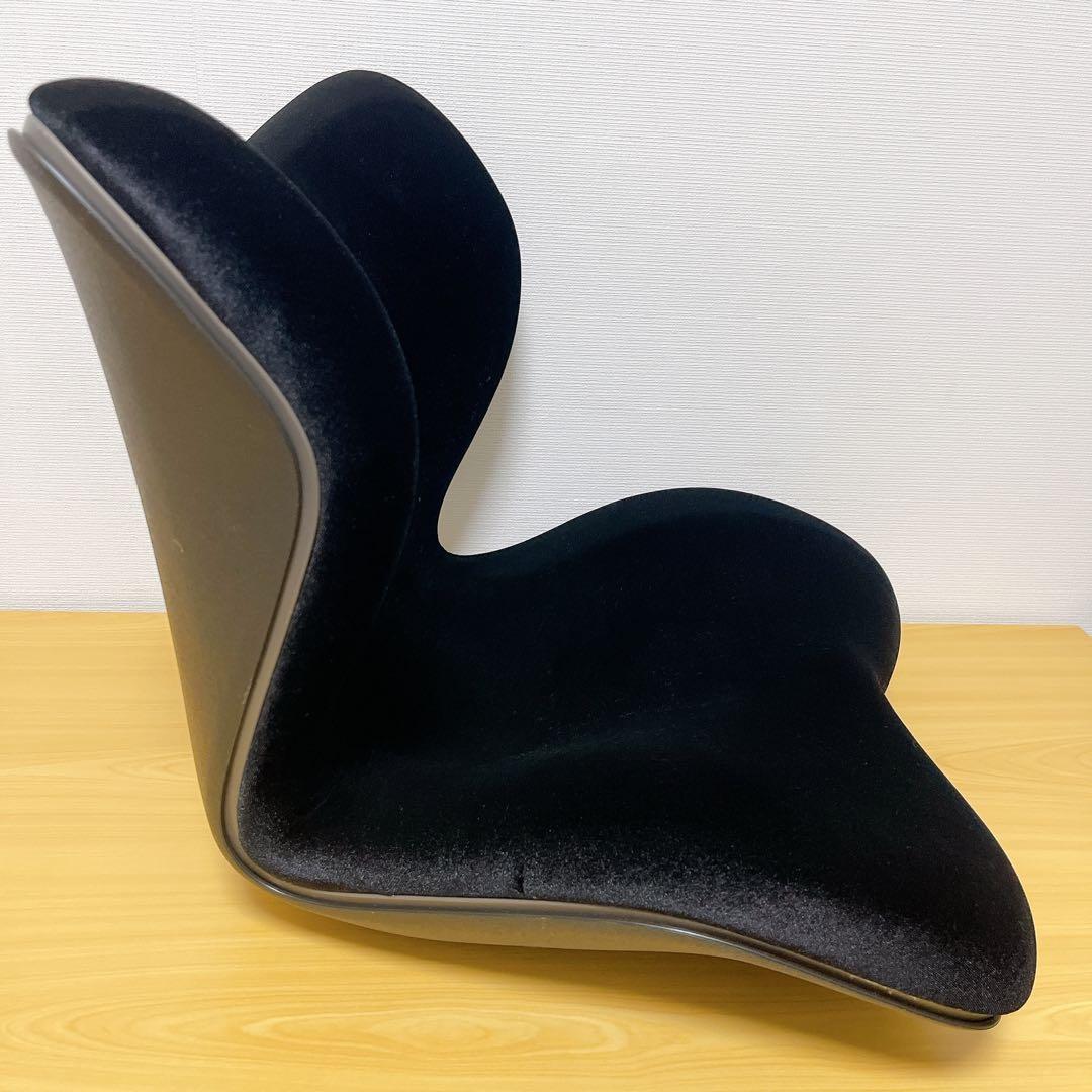 【美品】 Style PREMIUM DX スタイルプレミアムデラックス