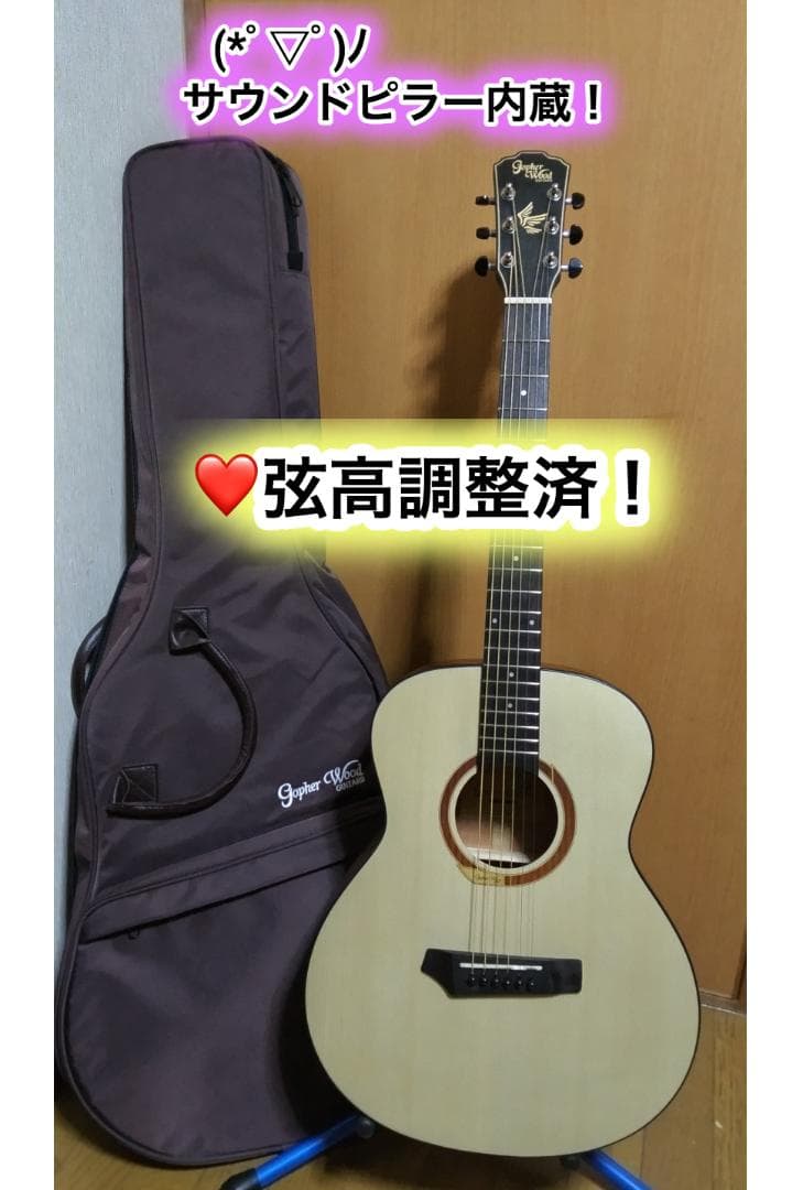 ❤️弦高調整済！「Gopher ゴフェル I110SX 」サウンドピラー内蔵！
