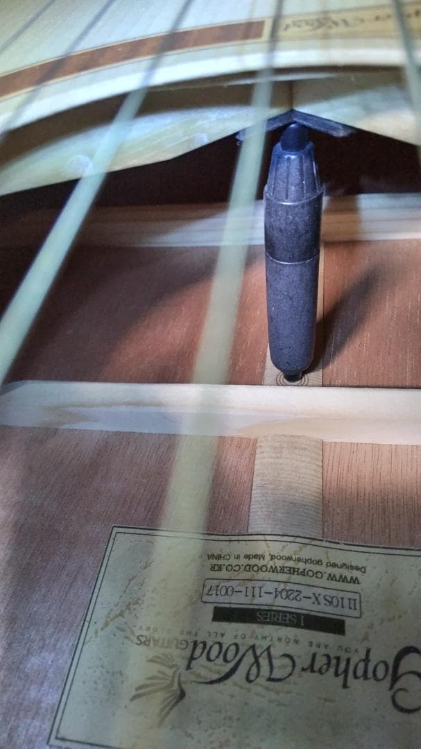 ❤️弦高調整済！「Gopher ゴフェル I110SX 」サウンドピラー内蔵！