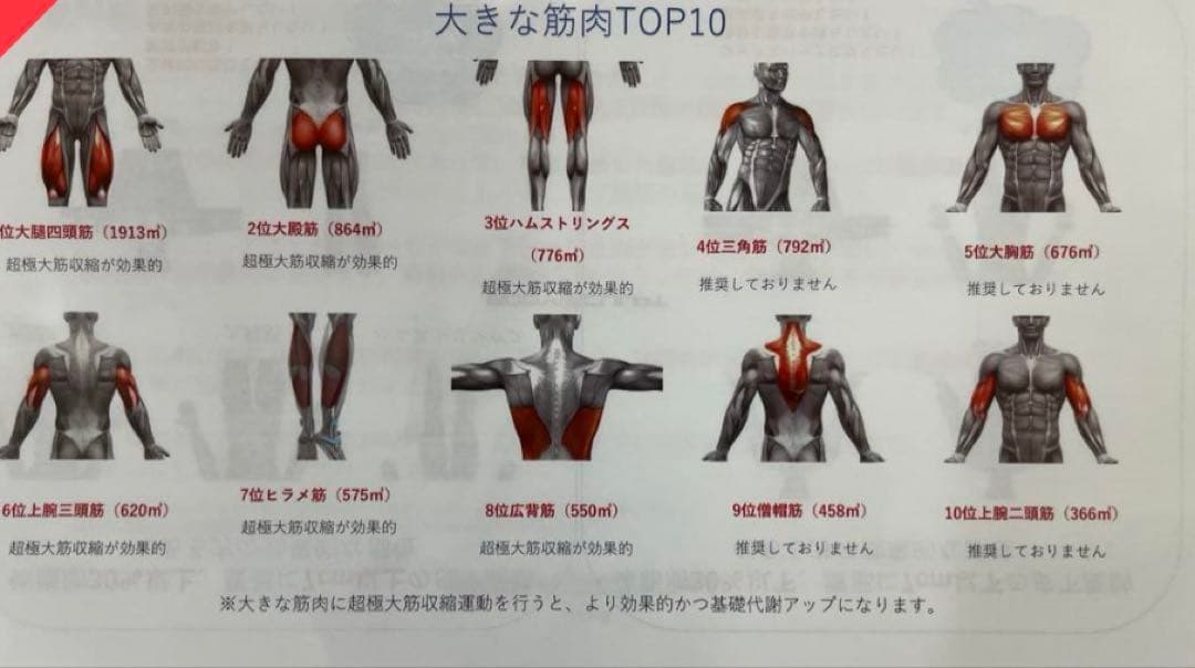 定価170万！高強度電磁パルスエムスカルプト（4ハンドル)