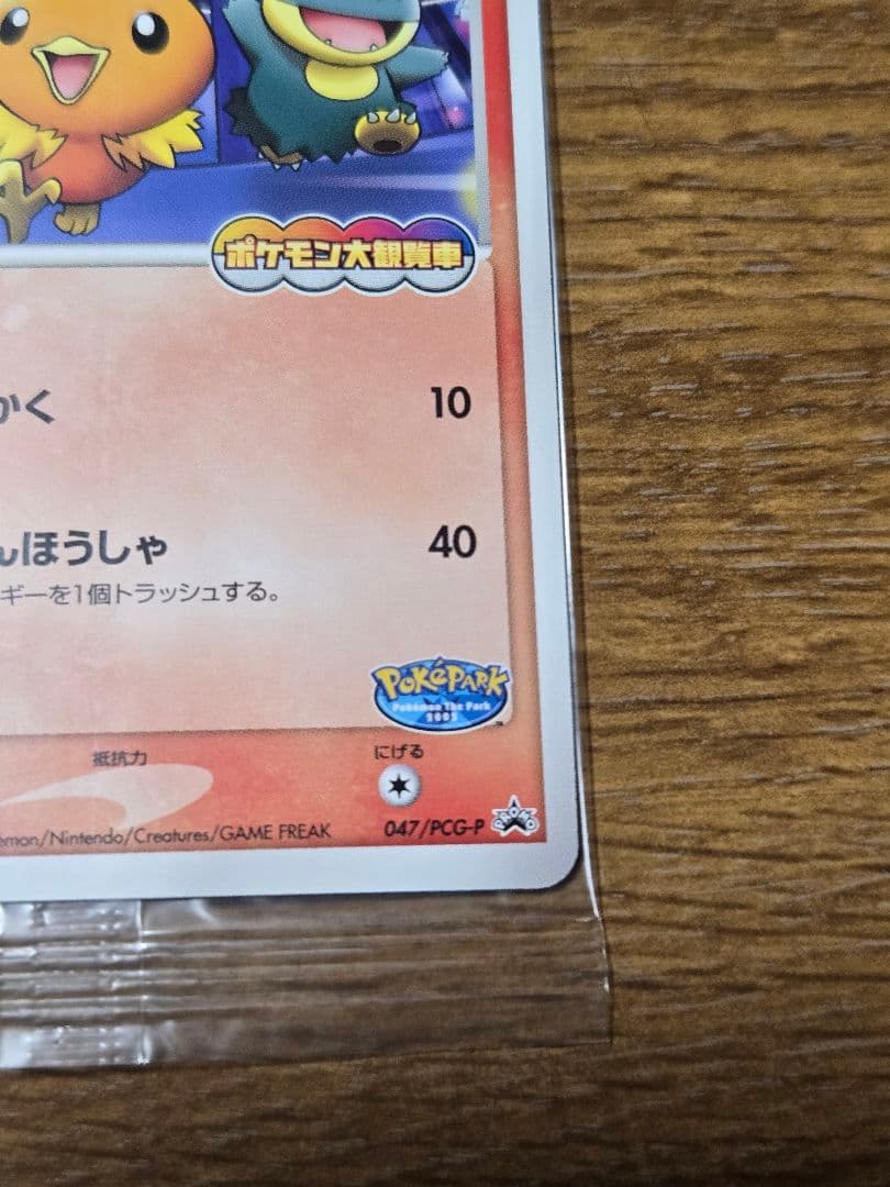 ポケパークのアチャモ プロモ 047/PCG-P ポケモンカード