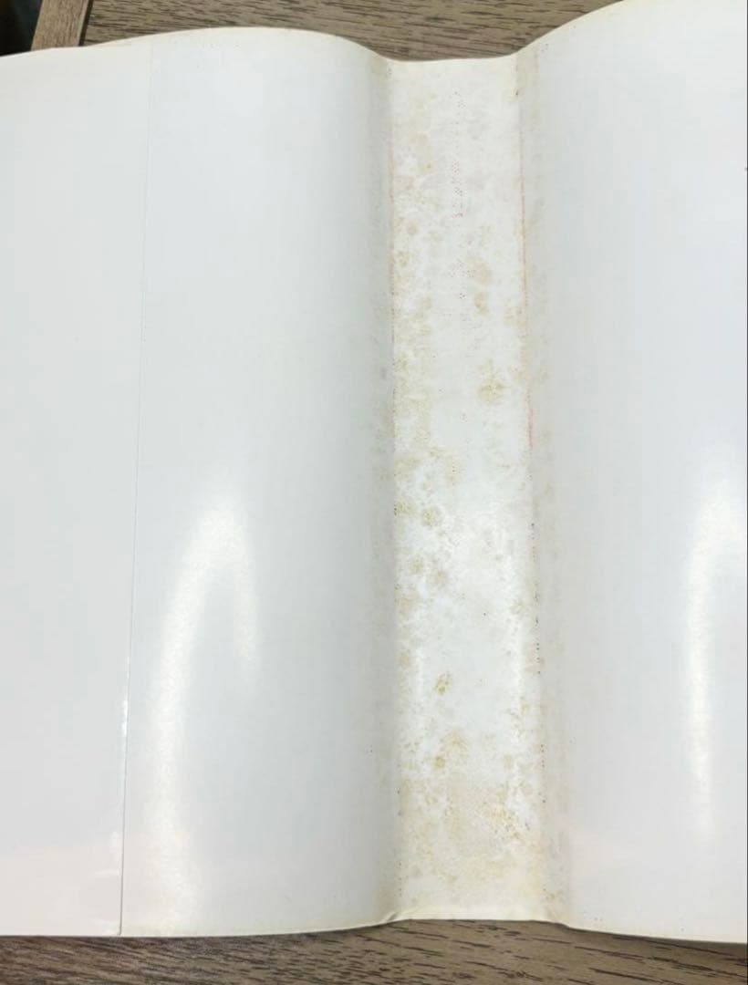 【くまごろう】フィヒテ全集 全23巻中４巻欠 + 補巻 23冊セット