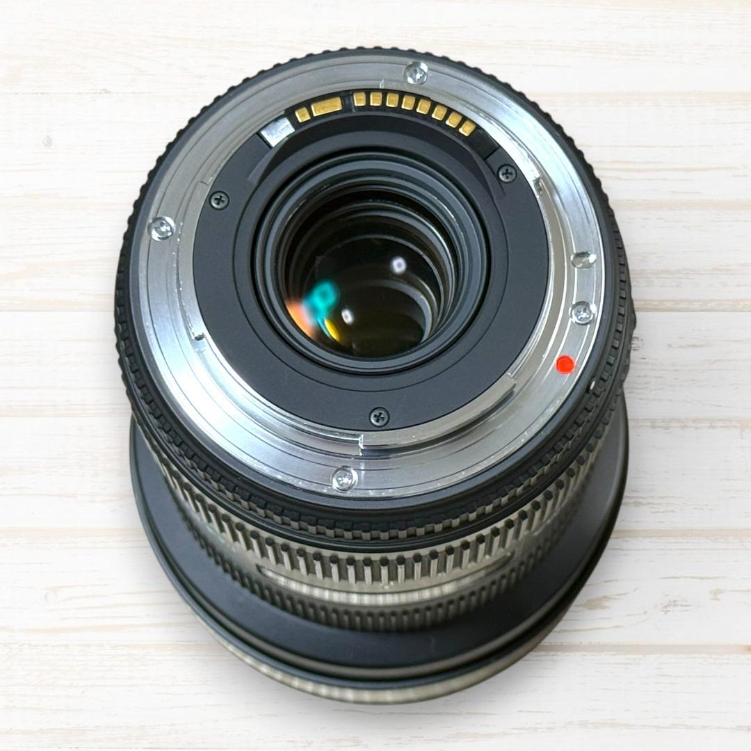 SIGMA 超広角レンズ 12-24mmⅡDG HSM Canon用 #286
