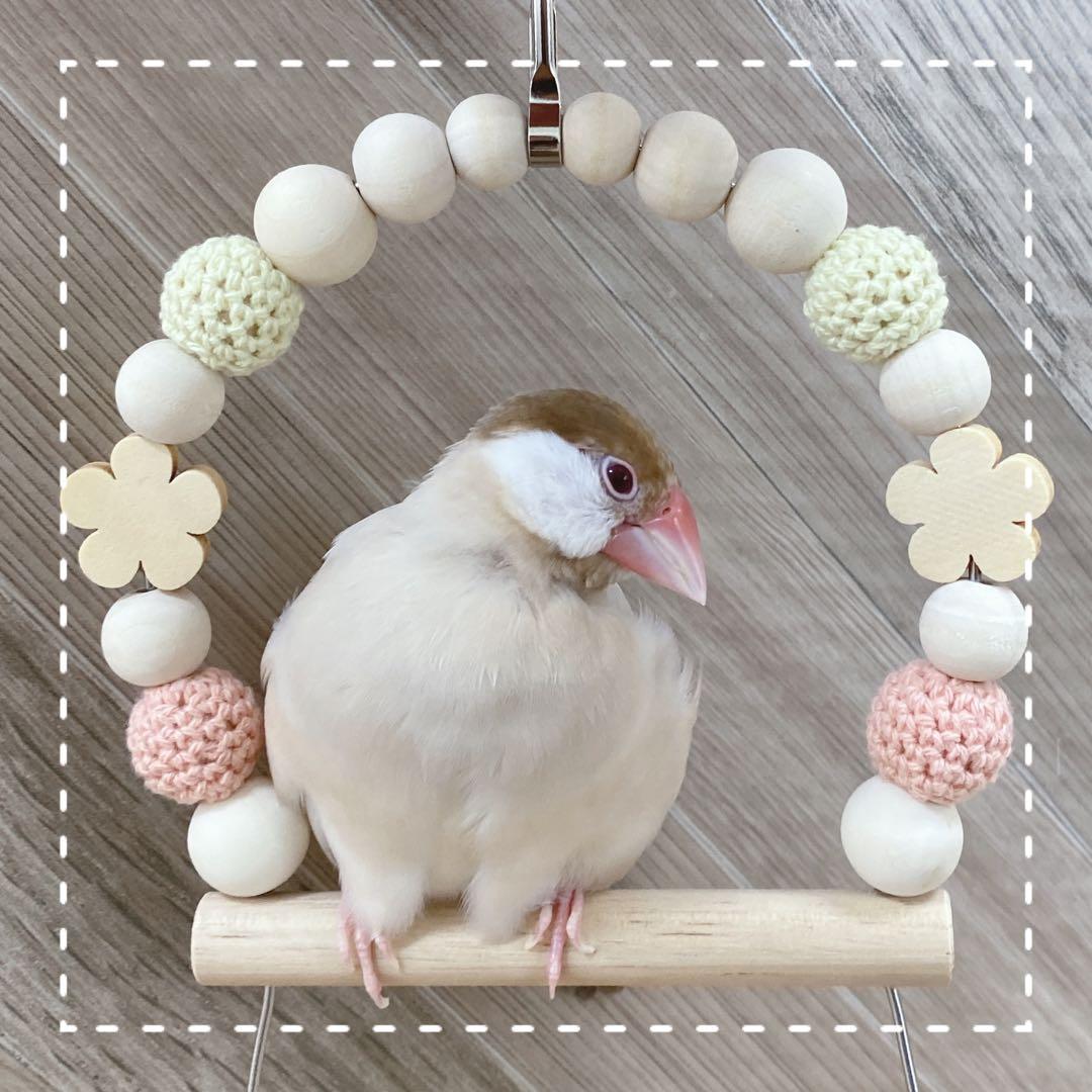 【あかまる】ことりのあそびば