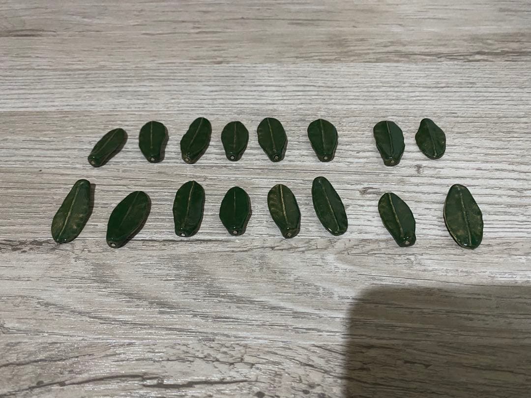 STUDIO ZOK 陶植 グラキリス　大