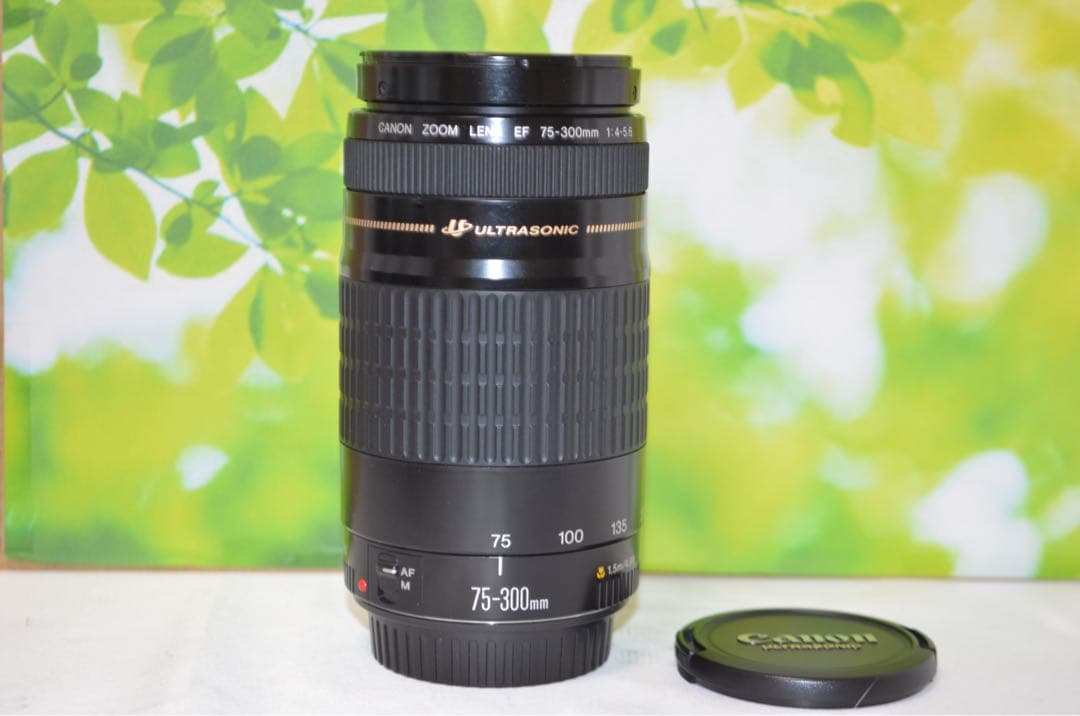 ★美品★300mm超望遠レンズ★CANON EF 75-300mm