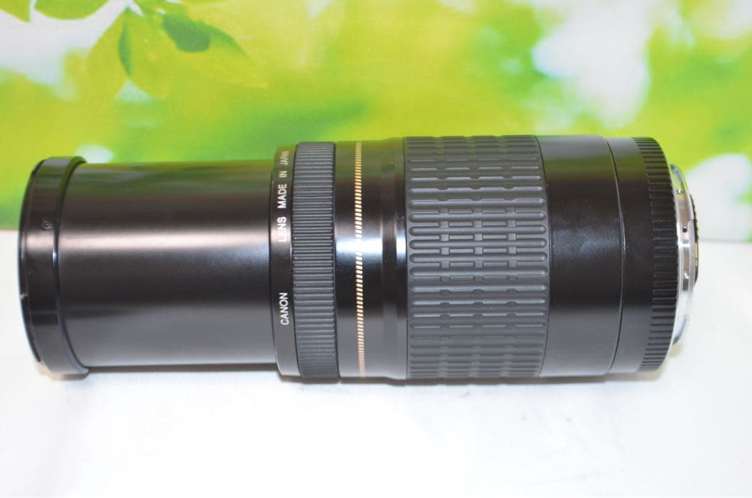 ★美品★300mm超望遠レンズ★CANON EF 75-300mm