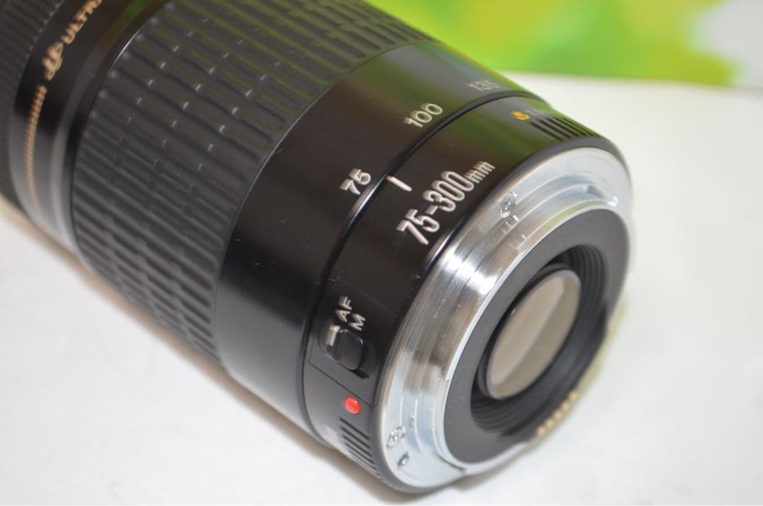★美品★300mm超望遠レンズ★CANON EF 75-300mm