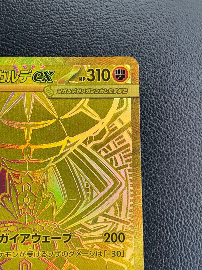 メガジガルデex HP310 mur