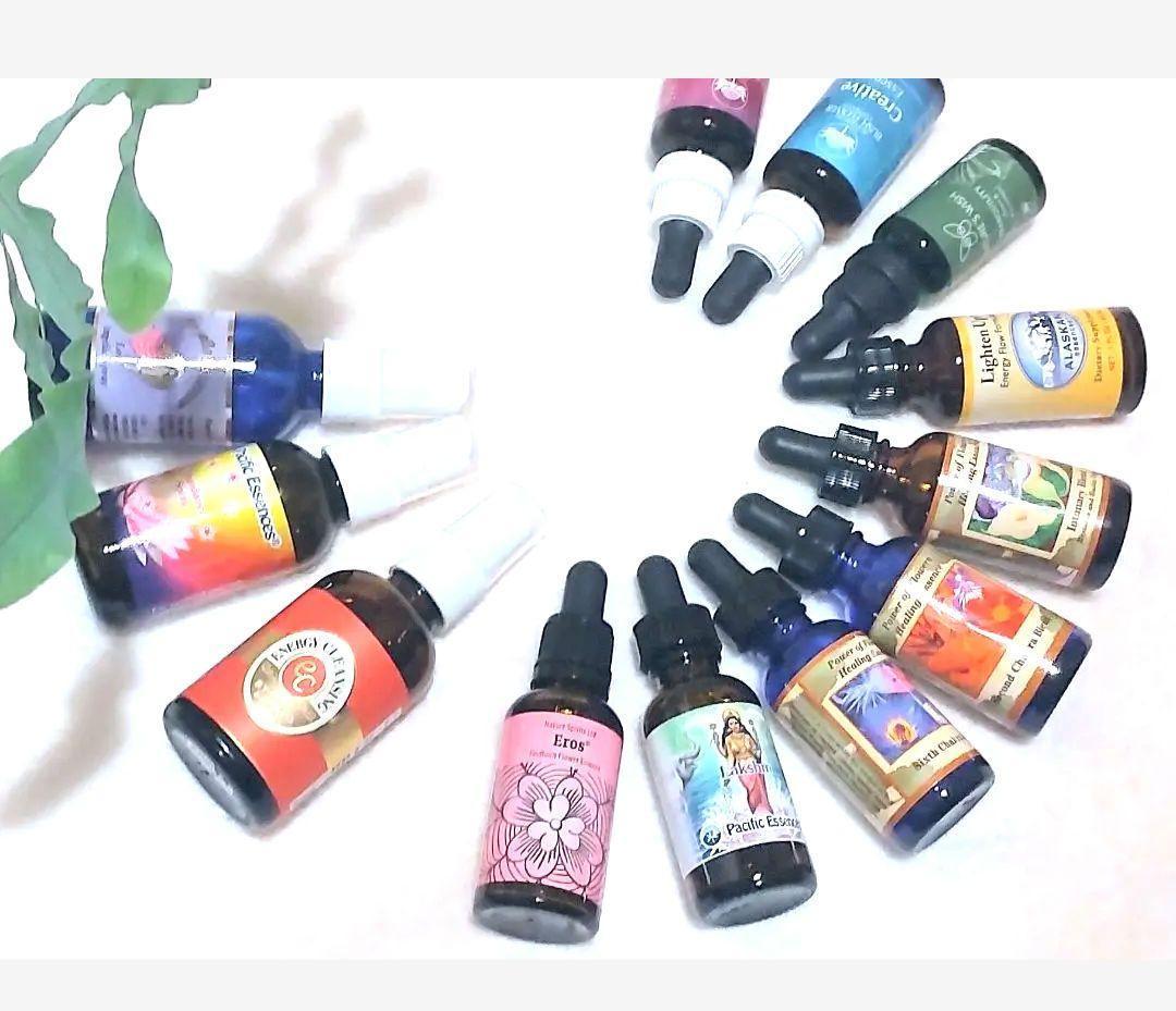 マネードローイング、ガーデンオブディライト、ロードストーン