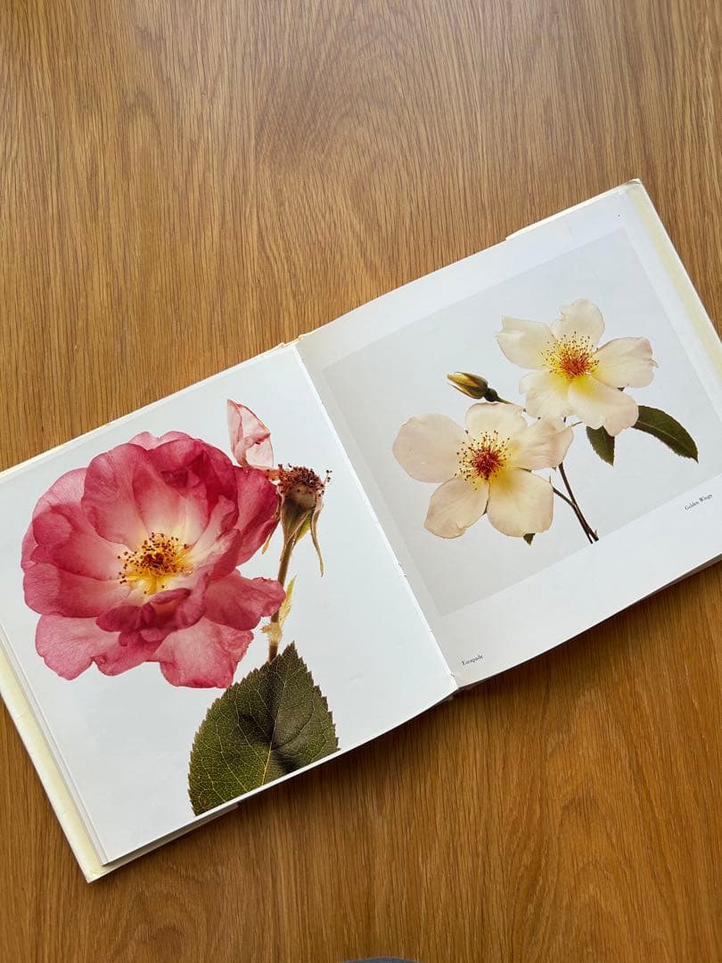 FLOWERS Irving Penn アーヴィングペン