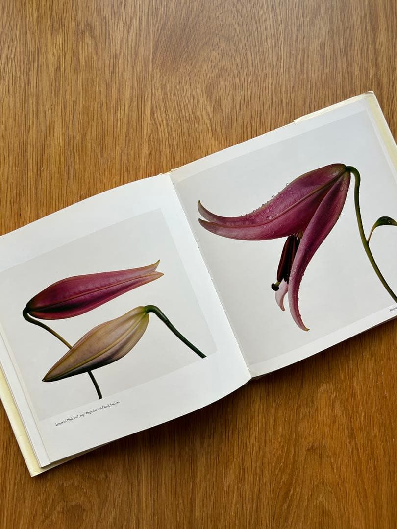 FLOWERS Irving Penn アーヴィングペン