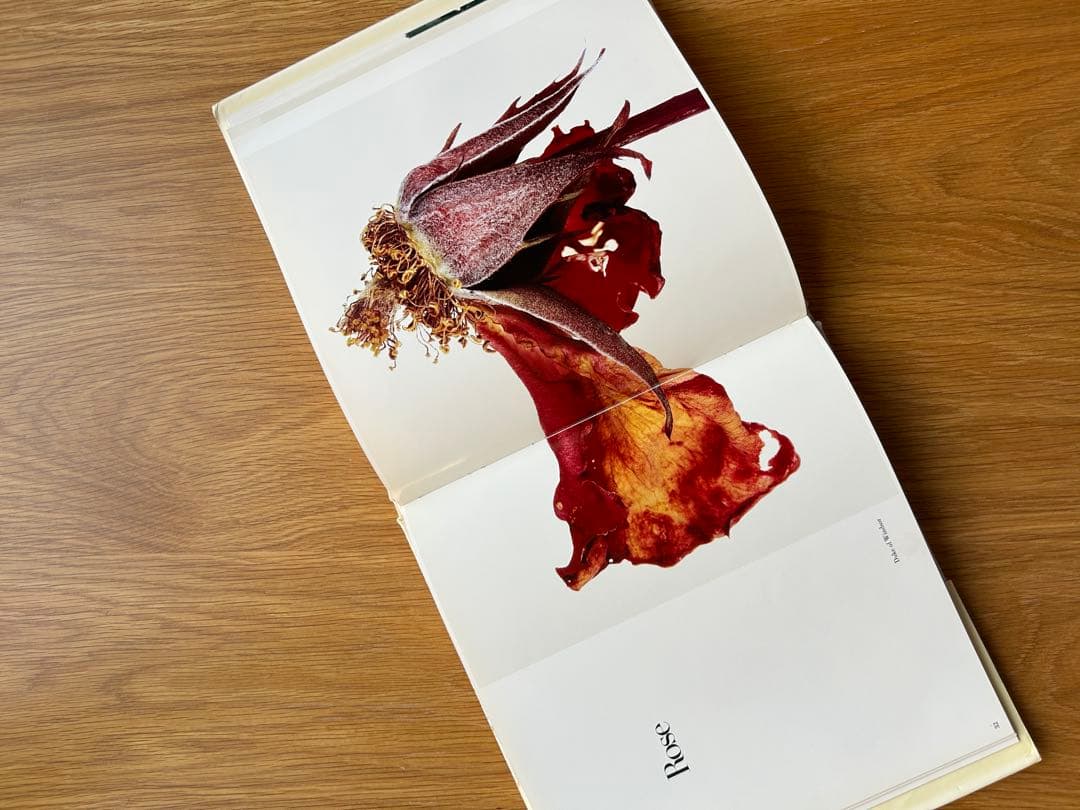 FLOWERS Irving Penn アーヴィングペン