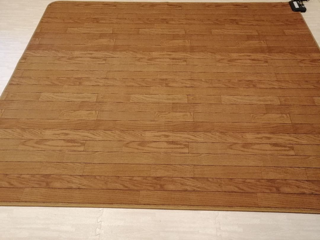 日本製　広電 フローリングタイプカーペット 3畳相当 マイコン式コントローラー