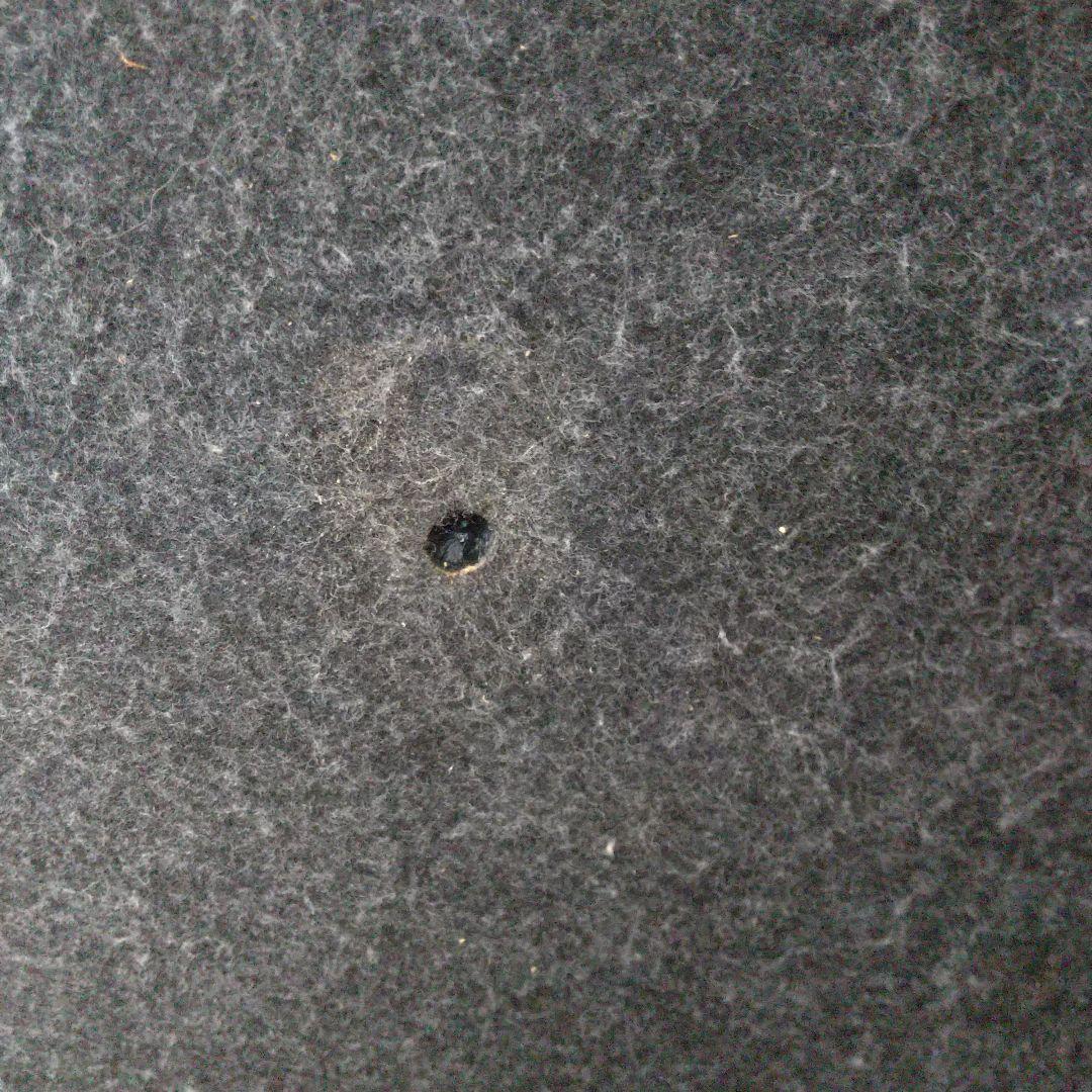 アリアンテ10インチ　サブウーファー