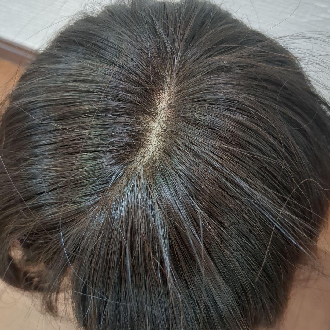 ウィッグ　ショート　ブラック　黒　リネアストリア