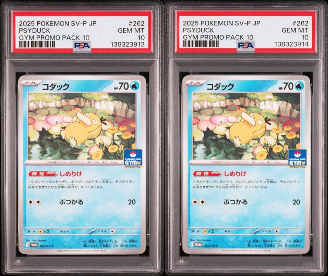 PSA10 連番 コダック ジムプロモ ①