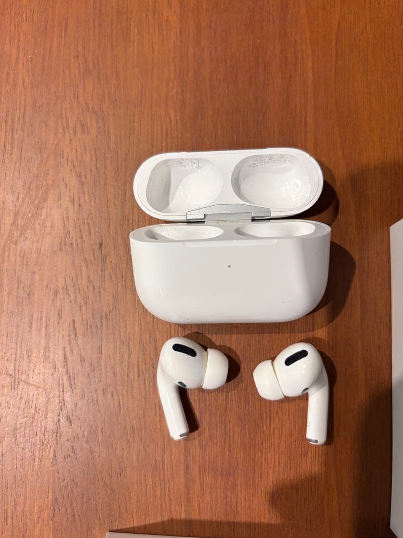 Apple AirPods Pro 第一世代本体