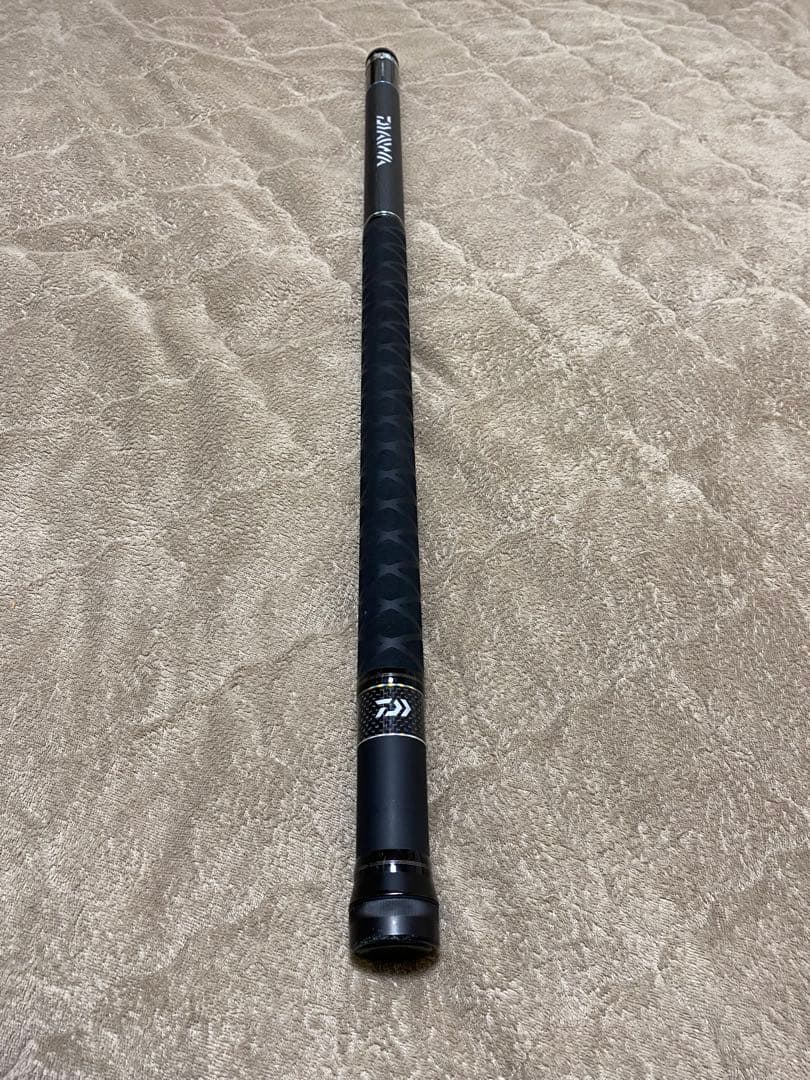 ダイワ ランディングポール II 60